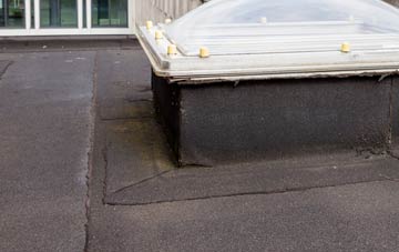 disadvantages of Guthram Gowt flat roofs