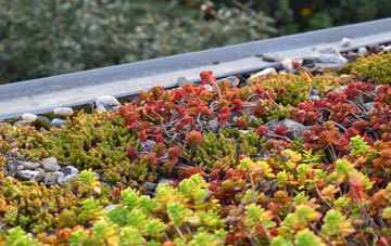 the cost of Guthram Gowt green roof installation