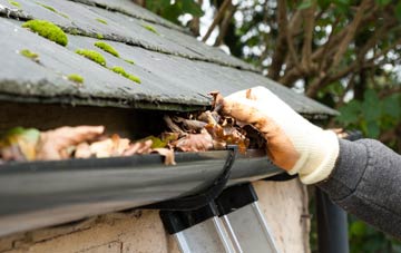 gutter cleaning Guthram Gowt, Lincolnshire