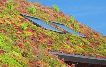 Guthram Gowt living roof systems
