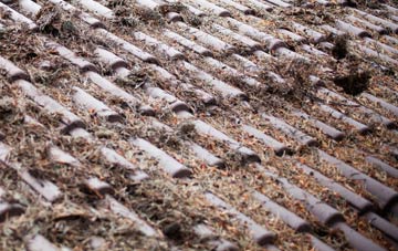 Guthram Gowt roof cleaning companies